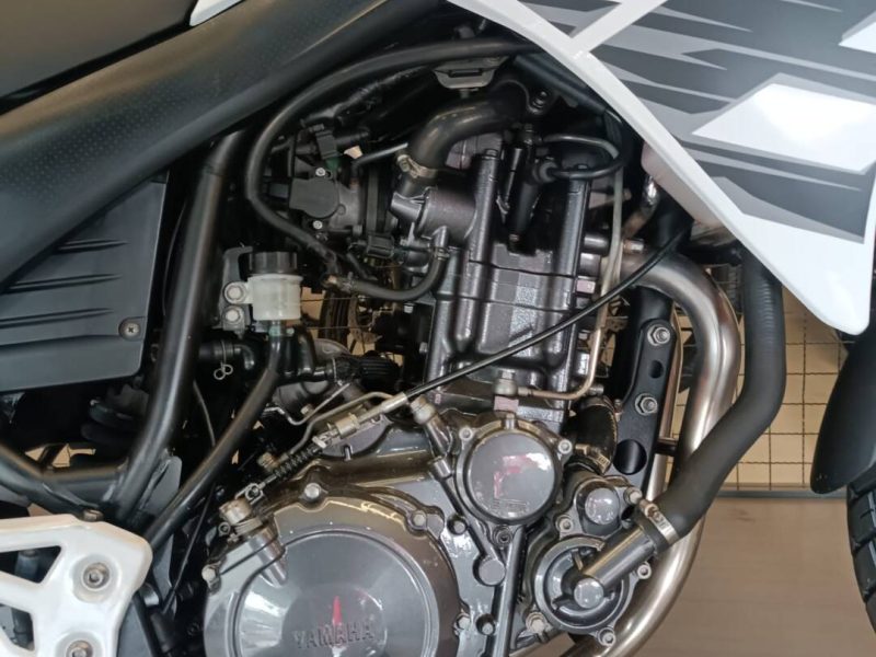 WhatsApp Image 2026-03-11 at 11.40.58 (1)